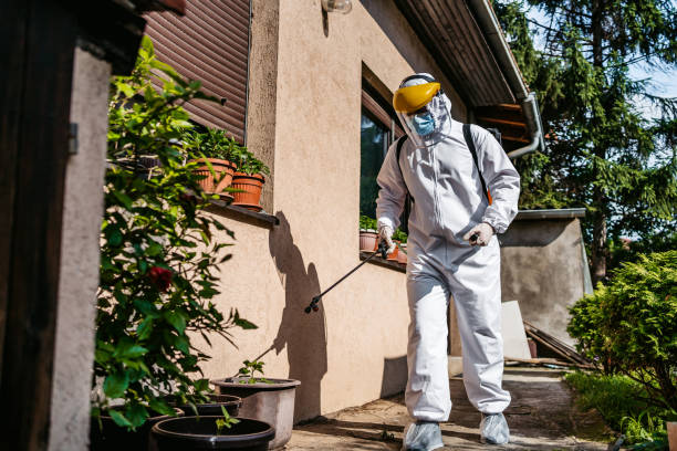 Best Emergency Pest Control  in Bovina, TX