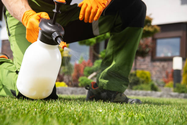 Best Termite Control Services  in Bovina, TX