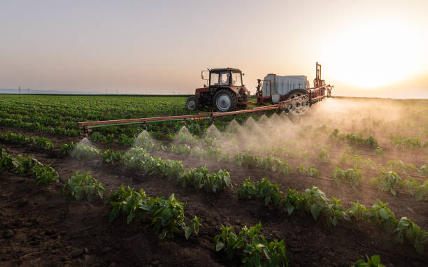 Best Pest Inspection Near Me  in Bovina, TX