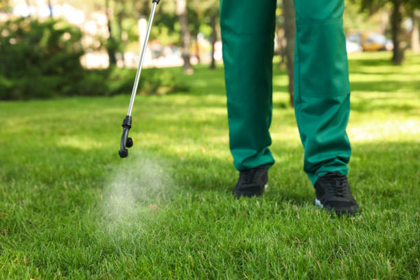 Best Insect Control  in Bovina, TX