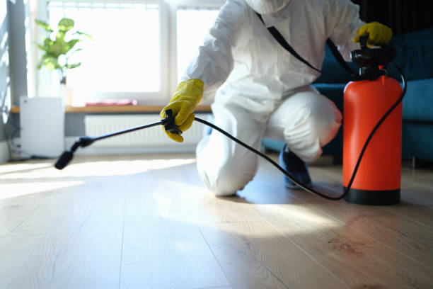 Best Pest Prevention Services  in Bovina, TX