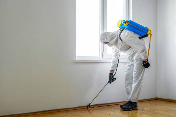 Best Mosquito Control Services  in Bovina, TX