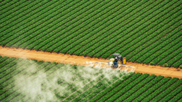 Best Pest Prevention Services  in Bovina, TX