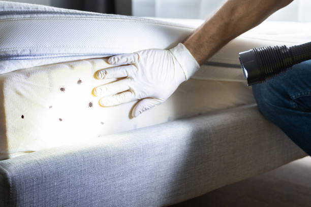 Pest Prevention Services in Bovina, TX