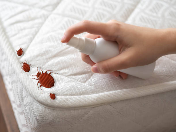 Best Exterminator Services  in Bovina, TX